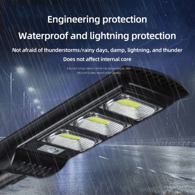 Solar Street Light SSL320picture4