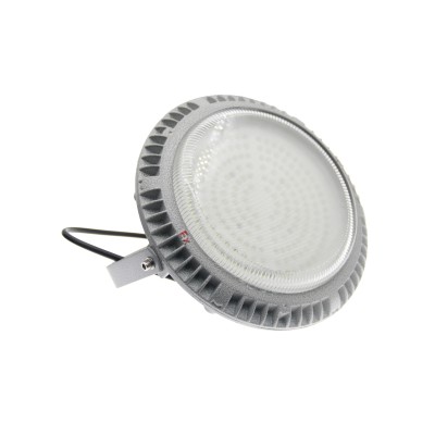 LED Explosion Proof Light EXP200picture2