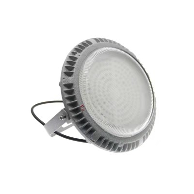 LED Explosion Proof Light EXP200picture5