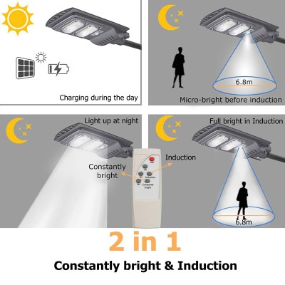 Solar Street Light SSL600picture2