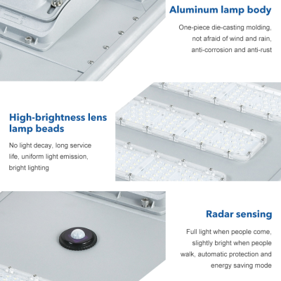 Solar Street Light SSL690picture5