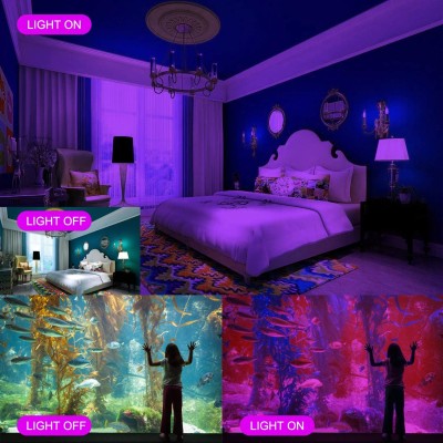 LED Ultraviolet Light UV140picture3