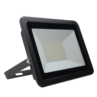 LED Flood Light FL590