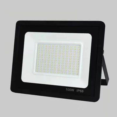 LED Flood Light FL1450picture2