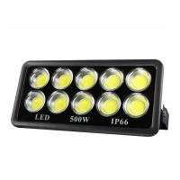 LED Flood Light FL570