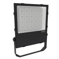 LED Flood Light FL620