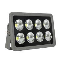 LED Flood Light FL600