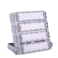 LED Flood Light FL790