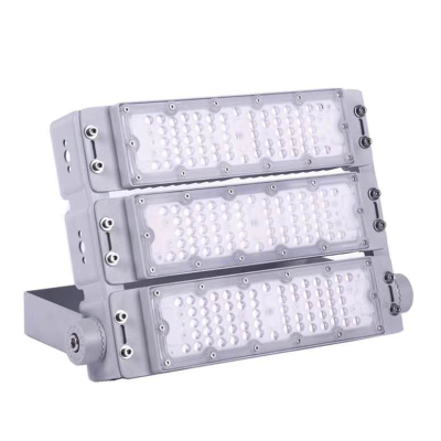 LED Flood Light FL790picture2