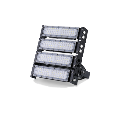 LED Flood Light FL790picture4