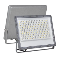 LED Flood Light FL550