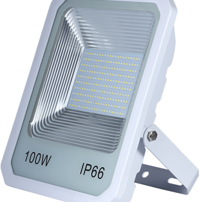 LED Flood Light FL810picture3