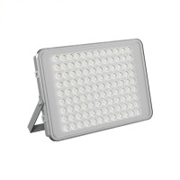 LED Flood Light FL670