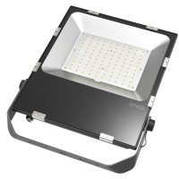 LED Flood Light FL860