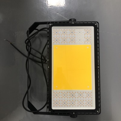 LED Flood Light FL1480picture2