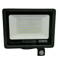 LED Flood Light FL880