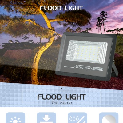 LED Flood Light FL880picture2