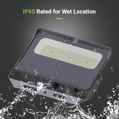 LED Flood Light FL890picture3