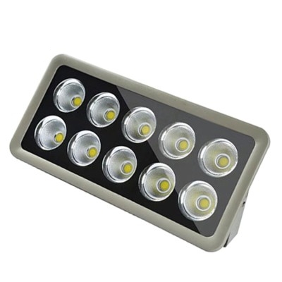 LED Flood Light FL900picture3