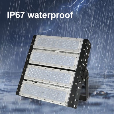 LED Flood Light FL250picture2