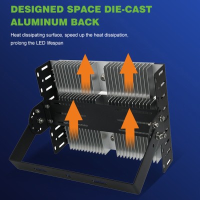 LED Flood Light FL250picture3
