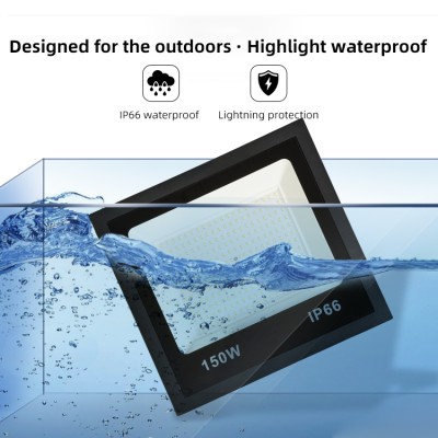 LED Flood Light FL1110picture3