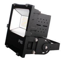 LED Flood Light FL1100