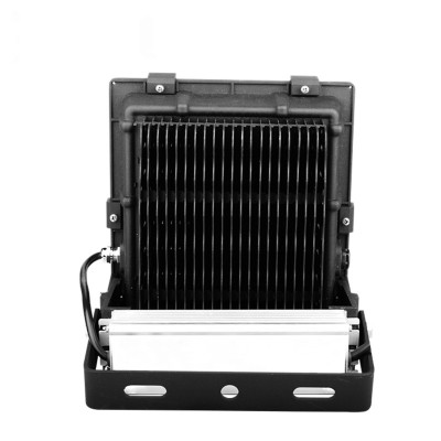 LED Flood Light FL1100picture2