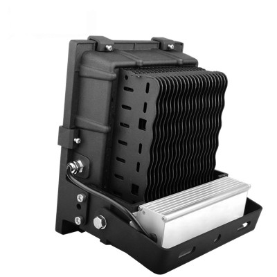LED Flood Light FL1100picture3
