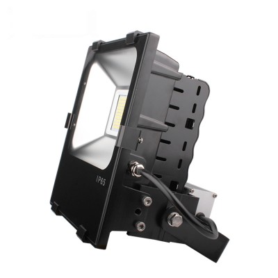 LED Flood Light FL1100picture5