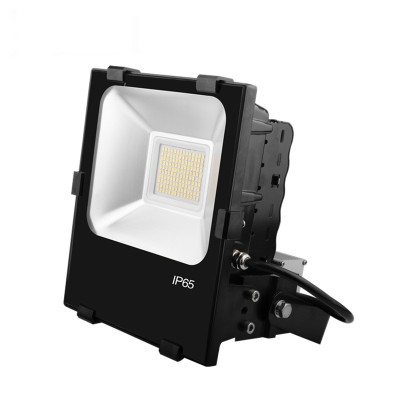 LED Flood Light FL1100picture6