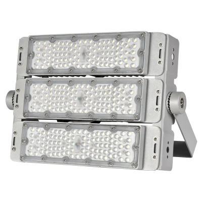 LED Tunnel Light TUN310picture6