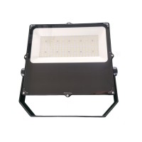 LED Flood Light FL1160
