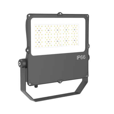 LED Flood Light FL1160picture3