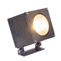 LED Flood Light FL1010