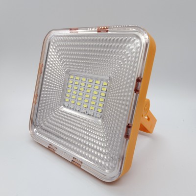 LED Flood Light FL1000picture2