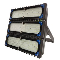 LED Flood Light FL1020