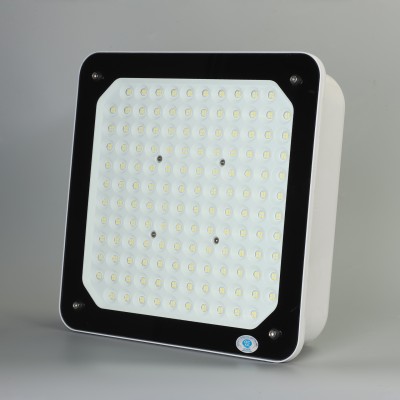LED Gas Station Light CAN110picture2