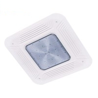LED Canopy Light CAN480