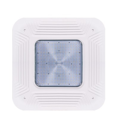LED Canopy Light CAN480picture2