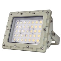 LED Explosion Proof Light EXP1000