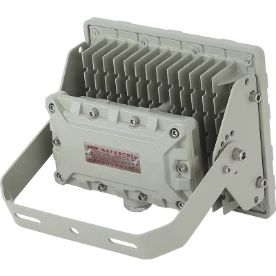 LED Explosion Proof Light EXP1000picture3