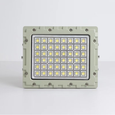 LED Explosion Proof Light EXP1000picture6
