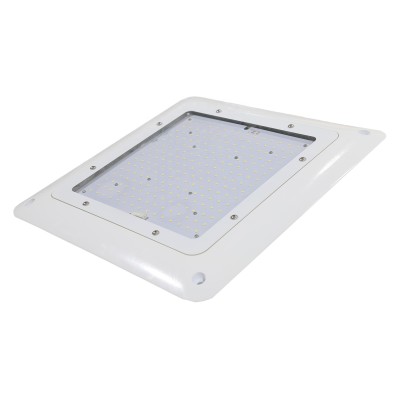 LED Canopy Light CAN740picture2