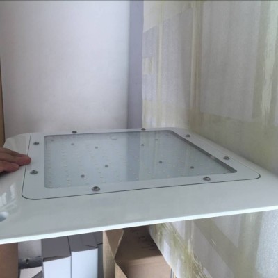 LED Canopy Light CAN740picture6