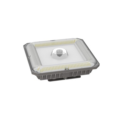 LED Canopy Light CAN670picture2