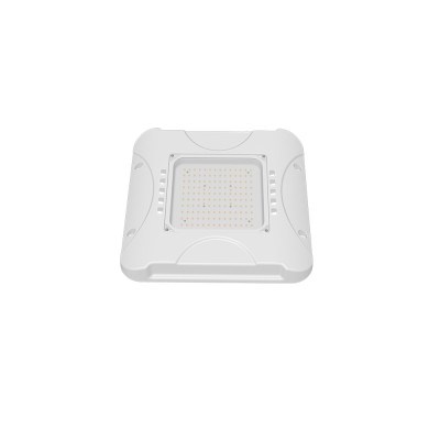 LED Canopy Light CAN770picture2