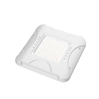 LED Canopy Light CAN770picture3