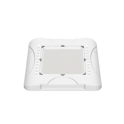 LED Canopy Light CAN770picture4