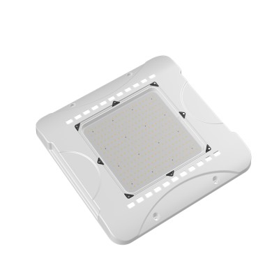 LED Canopy Light CAN770picture5
